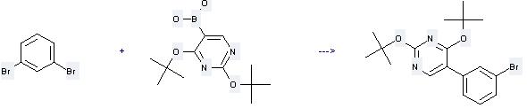 1,3-Dibromobenzene can be used to produce 5-(3-bromo-phenyl)-2,4-di-tert-butoxy-pyrimidine by heating